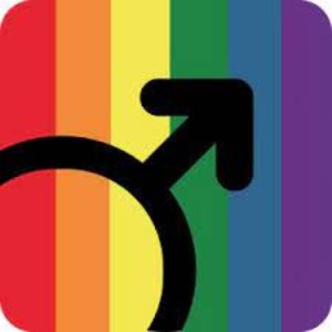 logo Gaystryst